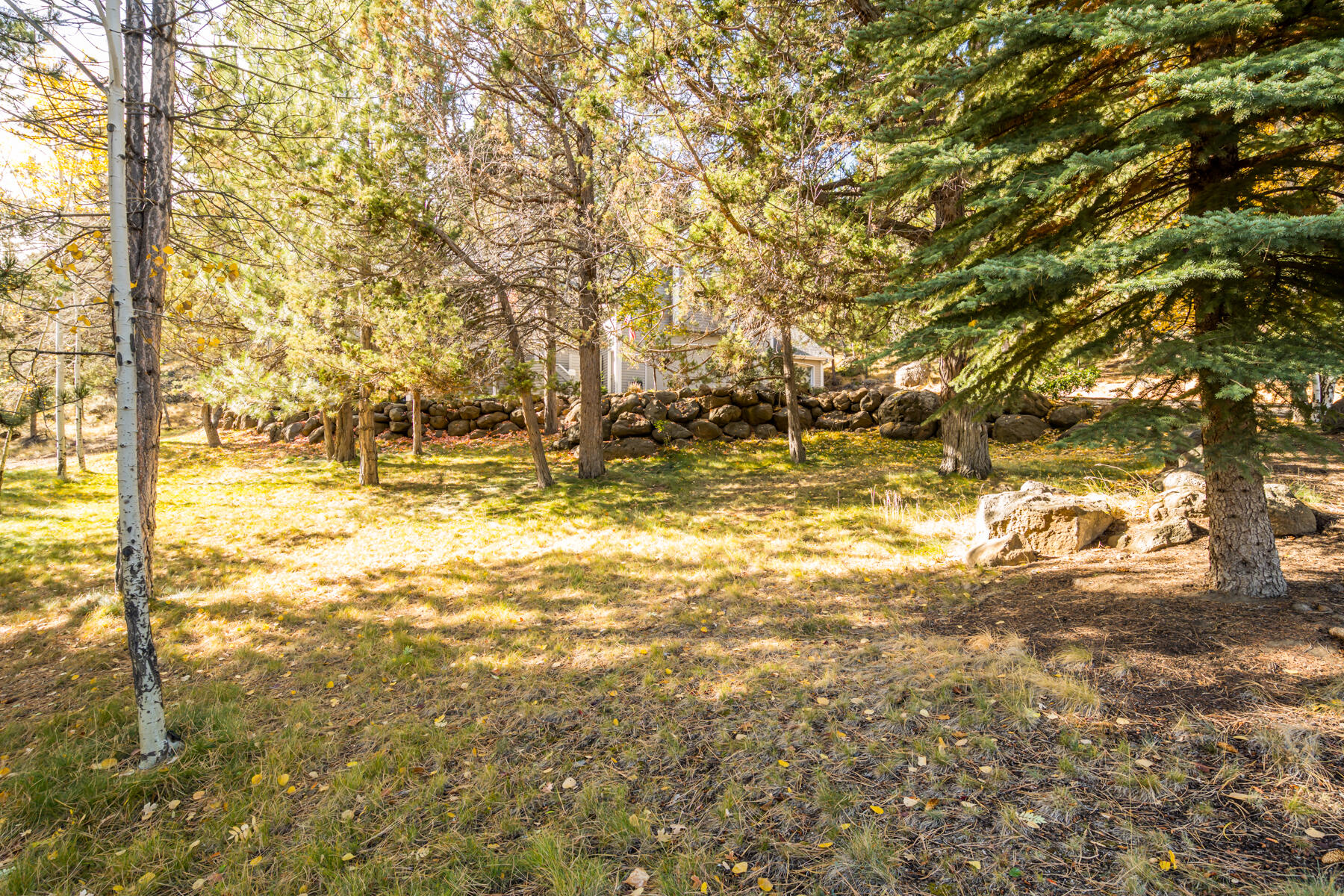 City View - Residential