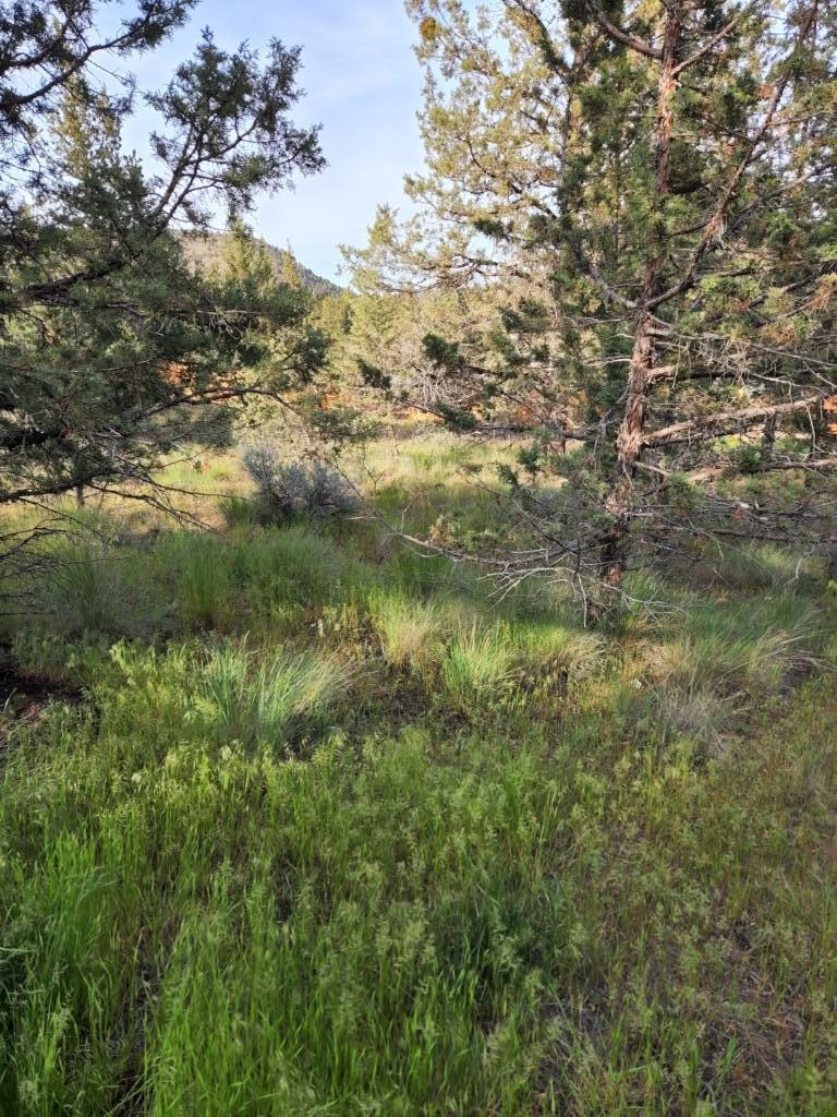 Golden Horseshoe - Land