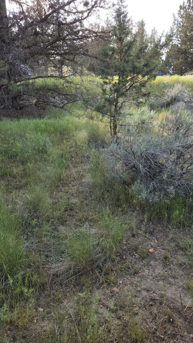 Golden Horseshoe - Land