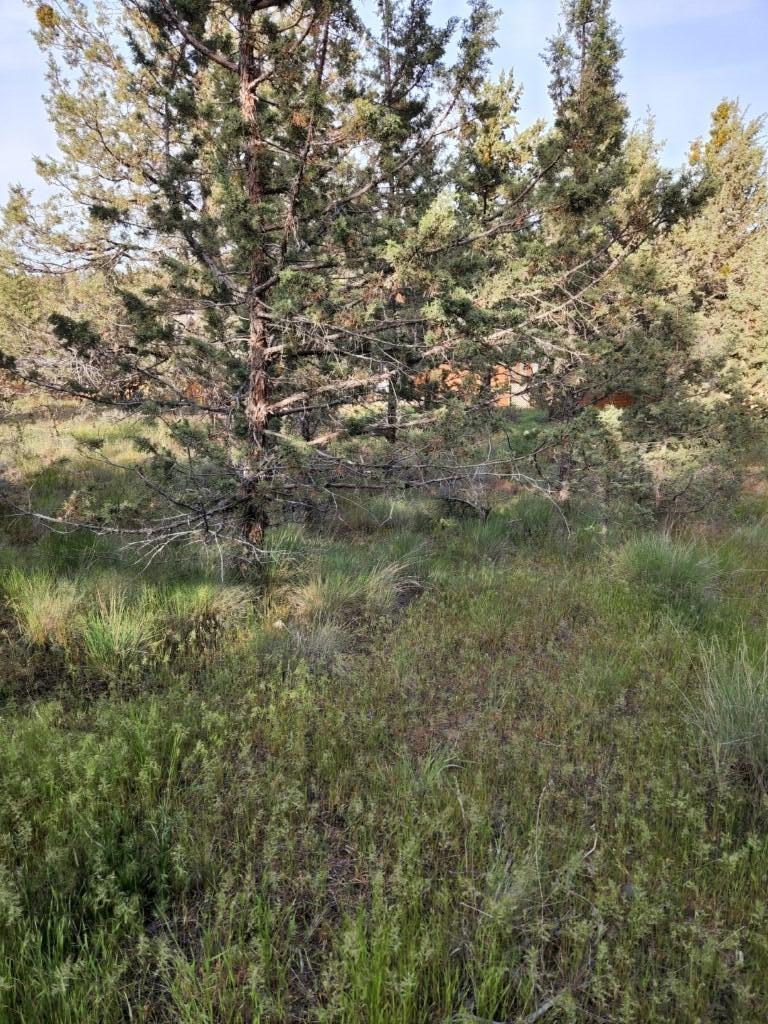 Golden Horseshoe - Land