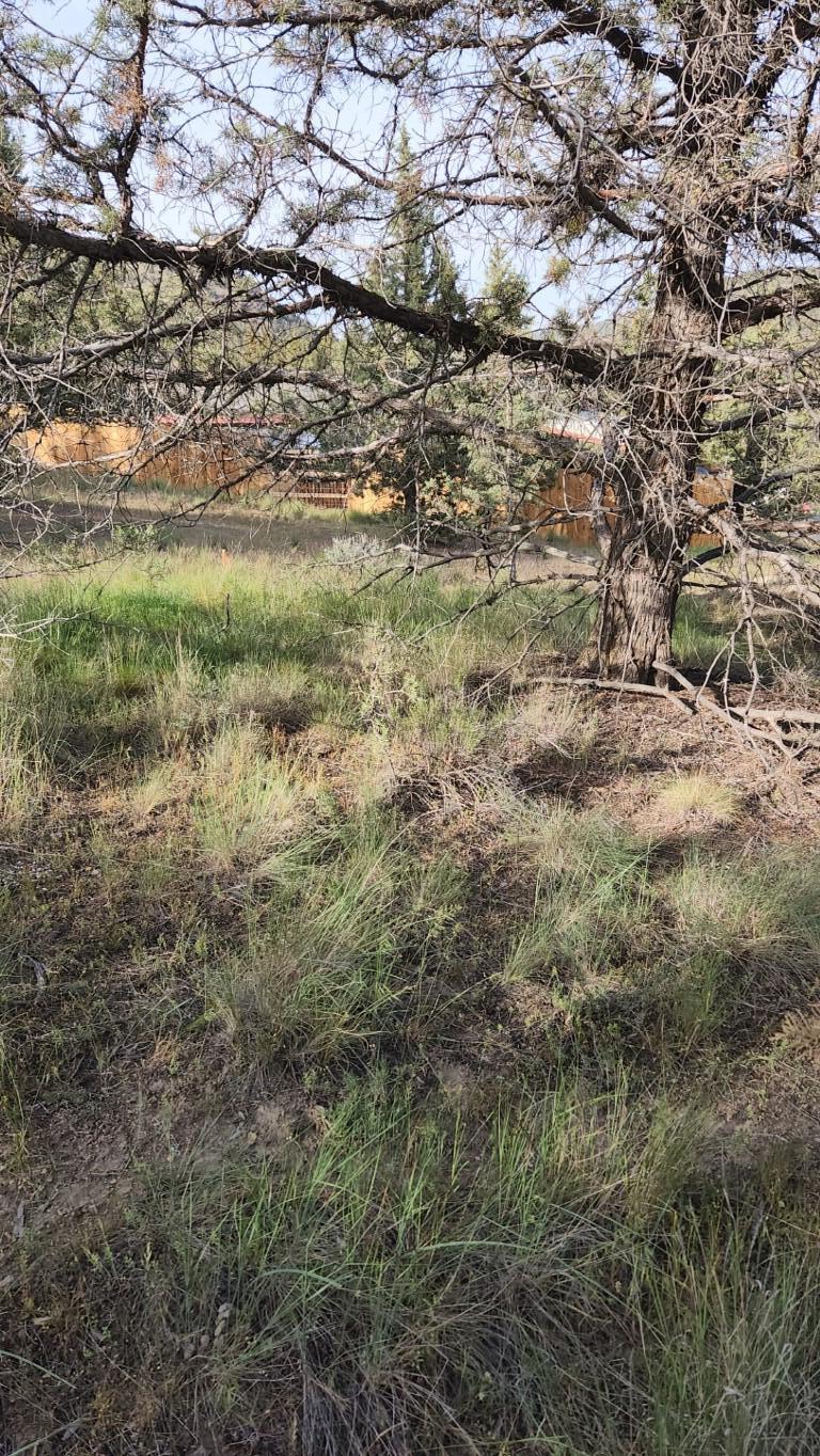 Golden Horseshoe - Land