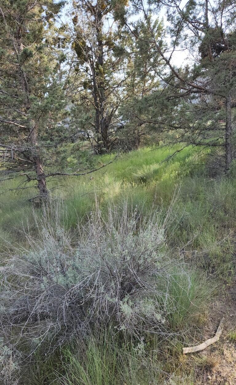 Golden Horseshoe - Land