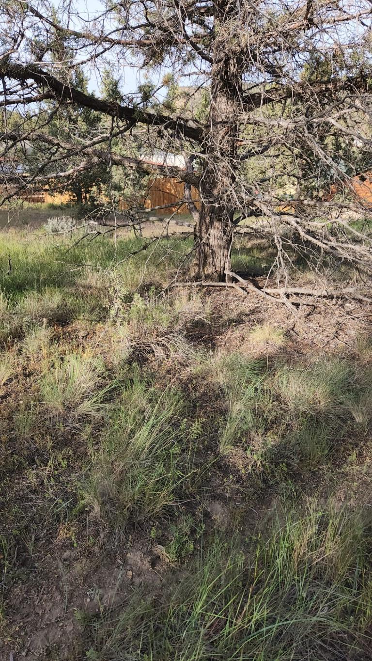 Golden Horseshoe - Land