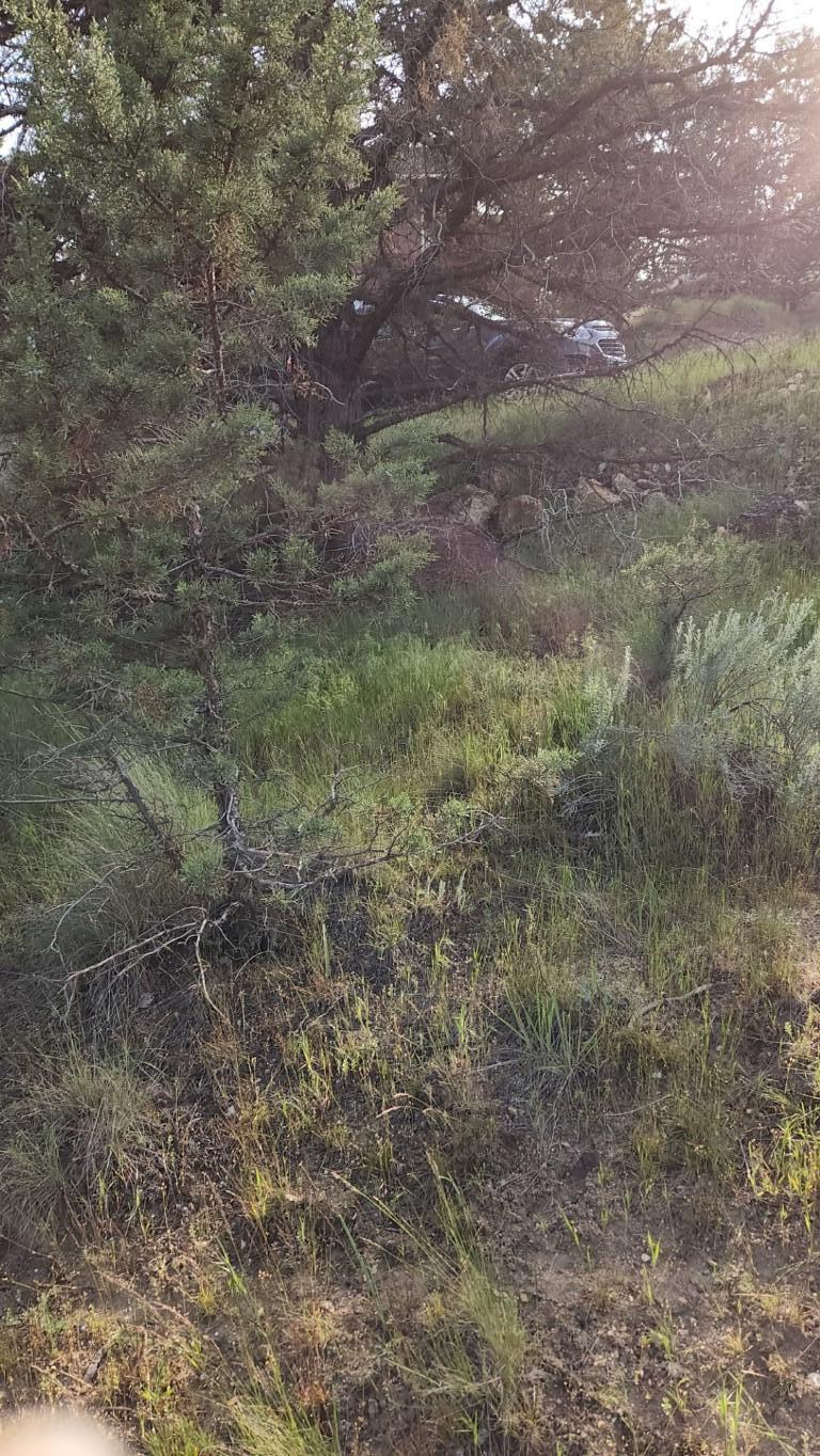 Golden Horseshoe - Land