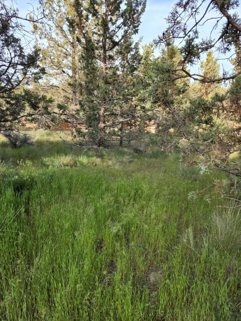 Golden Horseshoe - Land