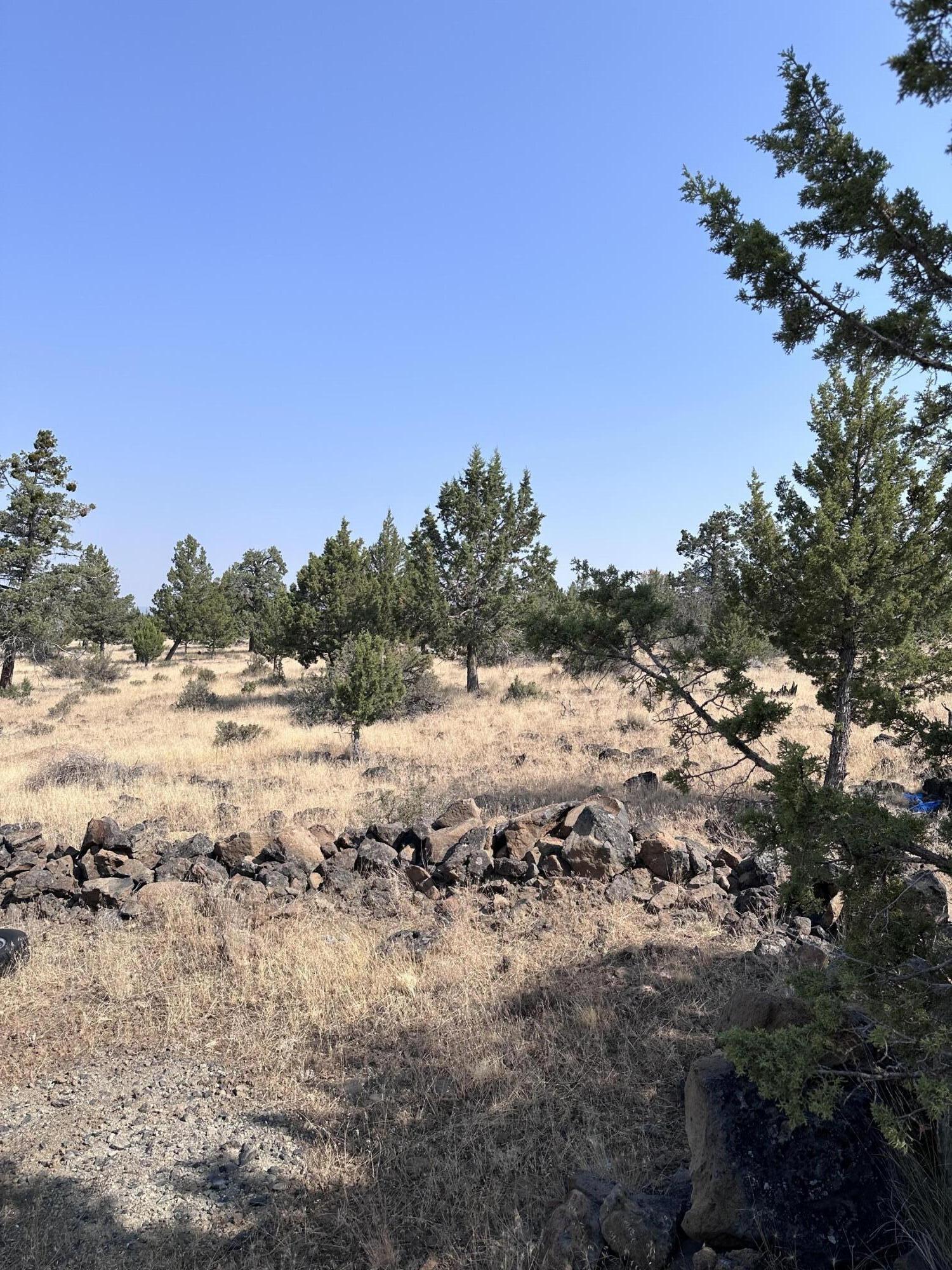 Klamath Falls Forest Estates -Hwy 66 Unit -Plat No. 1 - Land