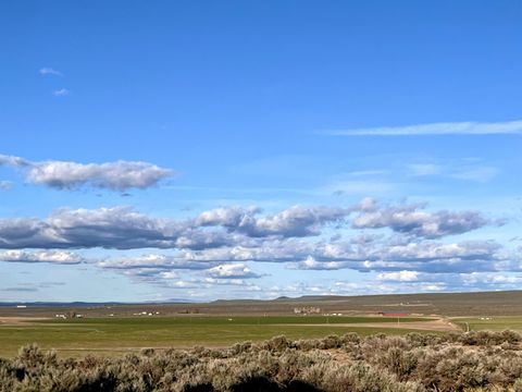 Tiny photo for 86513 Timothy Lane, Christmas Valley, OR 97641 (MLS # 220216862)