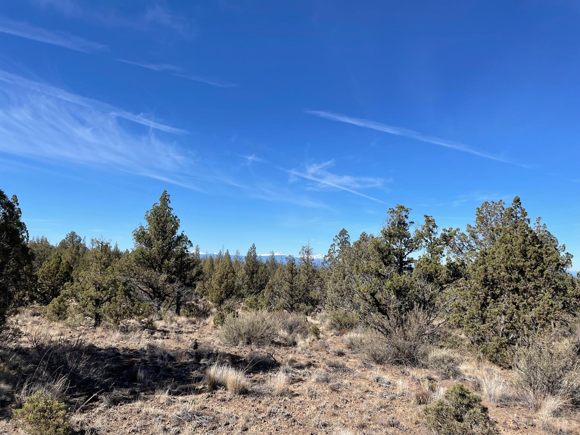 Juniper Acres - Land