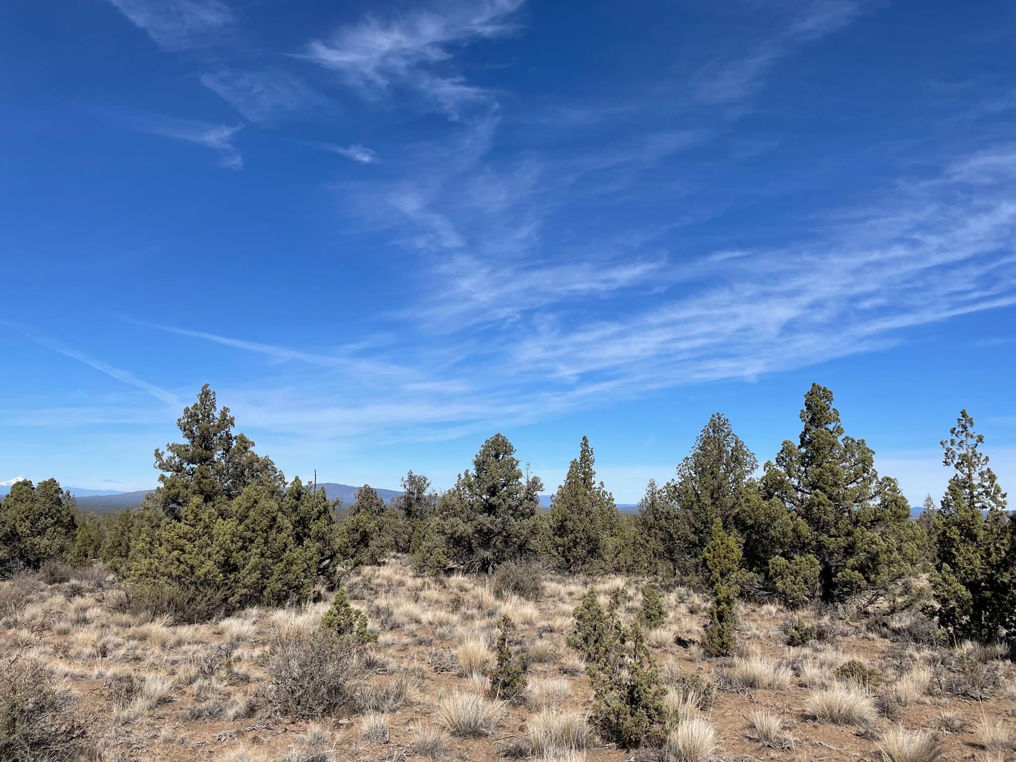 Juniper Acres - Land