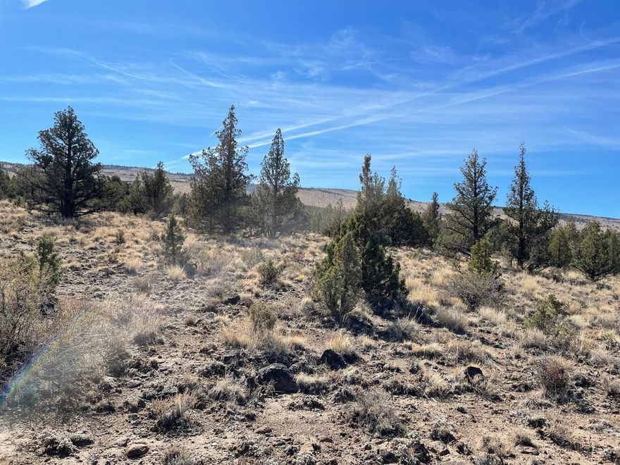 Looking for 10 acres in Central Oregon, look no further! This lot has nice elevation and is not near the entrance so privacy abounds. This off grid non-buildable lot is a perfect spot for all your recreation desires with Reservoir Road OHV Play Ara, Four Corners OHV Staging Area, Millican Valley OHV Trail System, and Alfalfa Curves OHV Staging Area all close by! Prineville Reservoir is just a short drive away. After a hard day of playing, check out the amazing sunsets over the Cascades and watch the stars in this area know for stargazing.