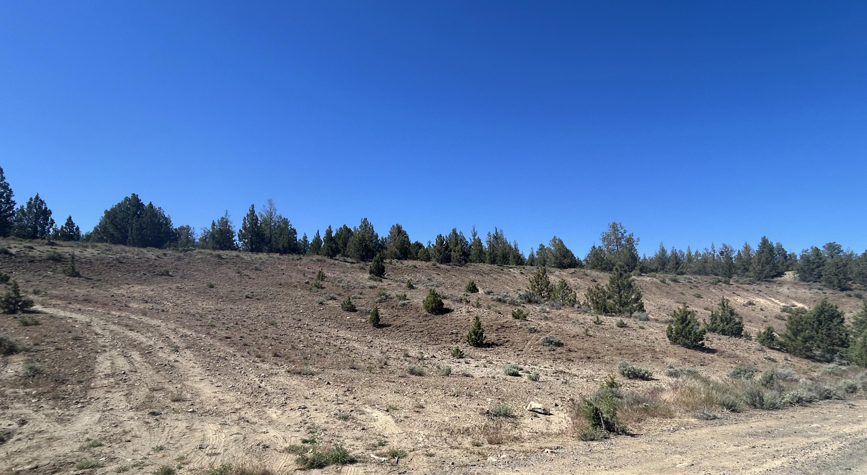 Prineville Lake Acres 2 - Land