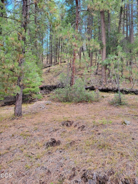 Tiny photo for 38398 Hamilton Road, Long Creek, OR 97856 (MLS # 220230003)