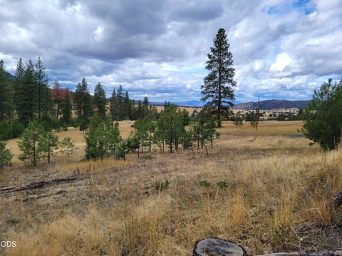 Tiny photo for 38398 Hamilton Road, Long Creek, OR 97856 (MLS # 220230003)