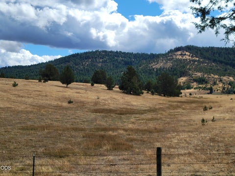Tiny photo for 38398 Hamilton Road, Long Creek, OR 97856 (MLS # 220230003)