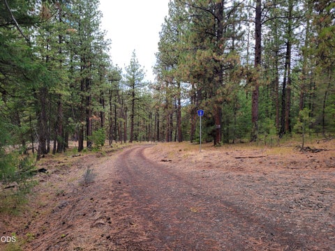 Tiny photo for 38398 Hamilton Road, Long Creek, OR 97856 (MLS # 220230003)