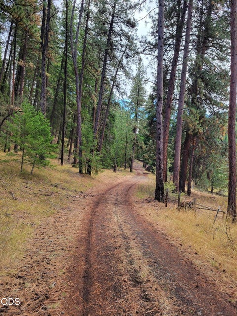 Tiny photo for 38398 Hamilton Road, Long Creek, OR 97856 (MLS # 220230003)