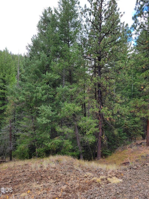Tiny photo for 38398 Hamilton Road, Long Creek, OR 97856 (MLS # 220230003)
