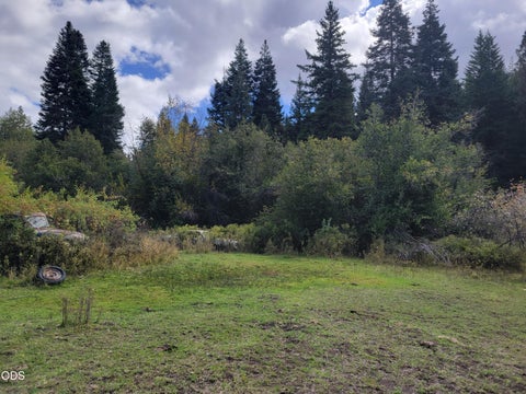 Photo of 38398 Hamilton Road, Long Creek, OR 97856 (MLS # 220230003)