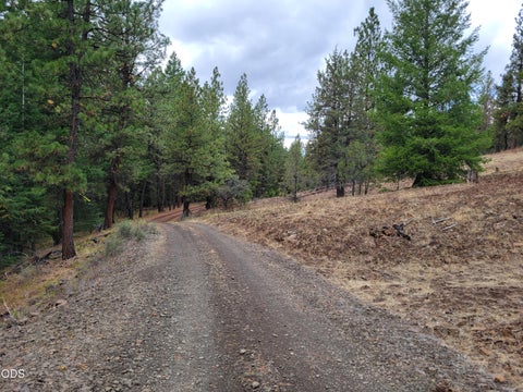 Tiny photo for 38398 Hamilton Road, Long Creek, OR 97856 (MLS # 220230003)