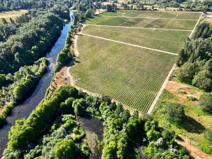 Opportunity to own 52 vine acres nestled on 126 deeded acres with 1+ mile of Applegate River frontage. Varieties include 50.5 acres Pinot Noir & 2.8 acres Viognier. Senior Applegate River water rights date back to 1899 with 2 certificates that allow 754 acre feet to be diverted directly from the river. 9 acres across Redlands dr. could suit a future custom home site overlooking the pond and vineyard. The 2nd parcel (48 acres) borders state land and offers exceptional waterfowl & fishing for the outdoor enthusiast. The vineyard is fully fenced and has 4 wind machines to provide frost protection. A combination of excellent soil, topography, and superior farming techniques contribute to this exquisite vineyard. Located 10 minutes from Grants Pass and 1 minute off the well traveled Hwy 199. Vineyard management and seller lease back options available.  All information provided is deemed reliable, but is not guaranteed and should be independently verified.