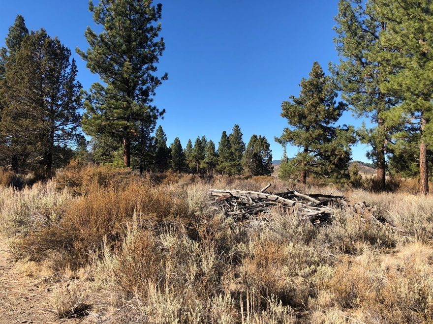 : Here is your chance to own 40 private, partially wooded acres in a serene and peaceful location. Nestled up against a hillside this property features many mature trees and lots of level locations to build. The views are amazing of the surrounding tablelands. Tucked away in this lovely spot the possibilities are endless!