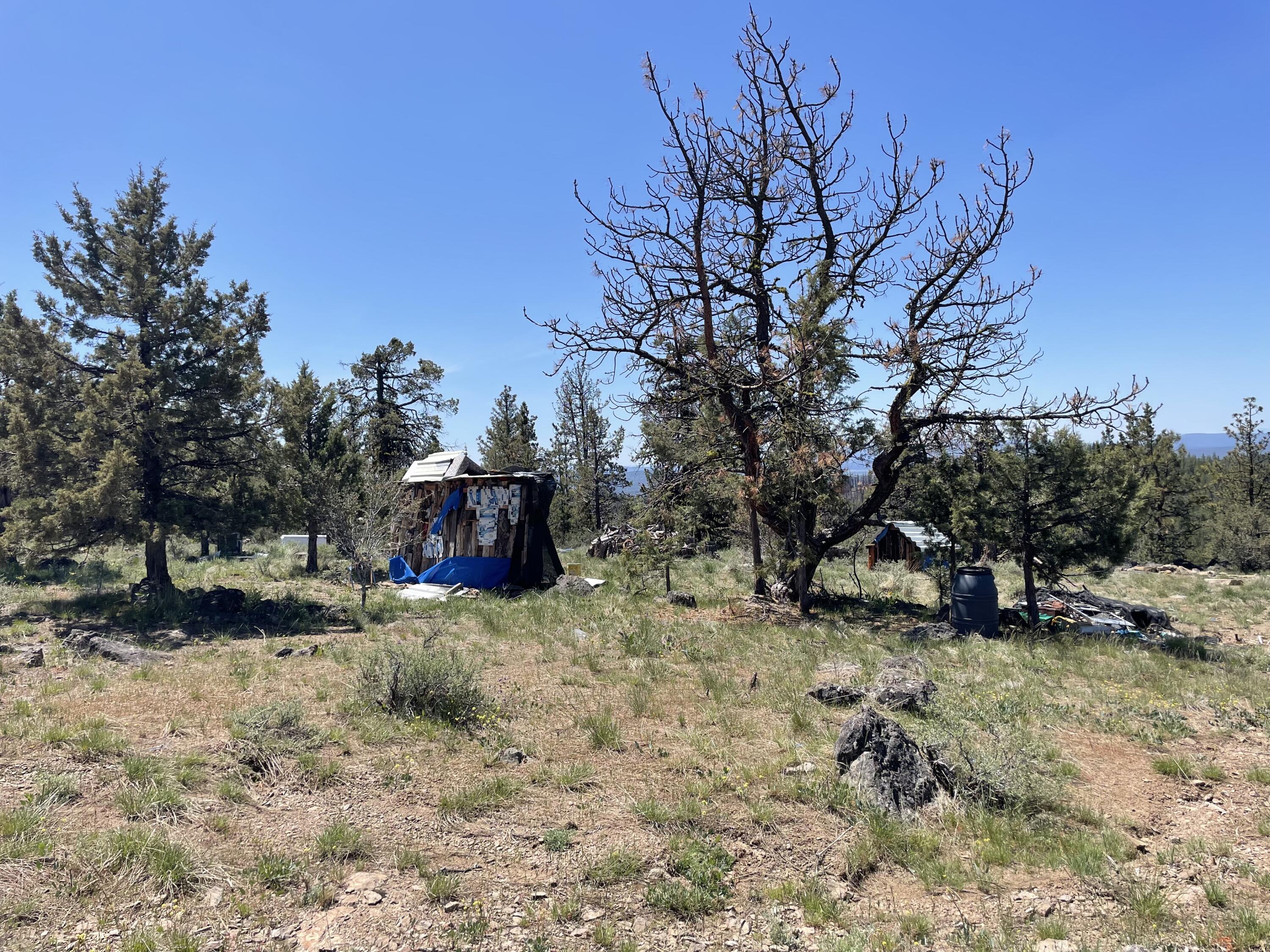 Beaver Lane 37