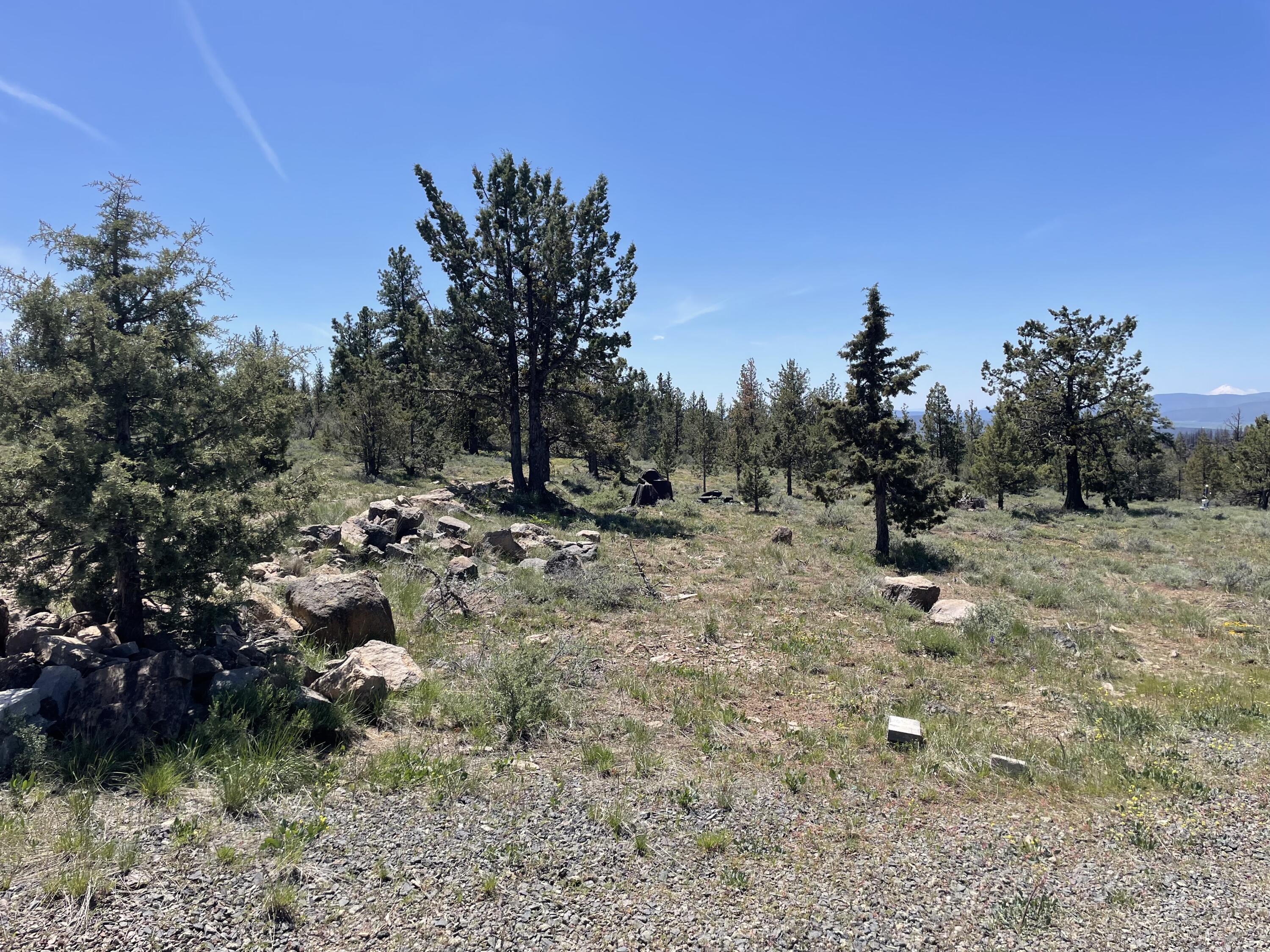 Beaver Lane 37