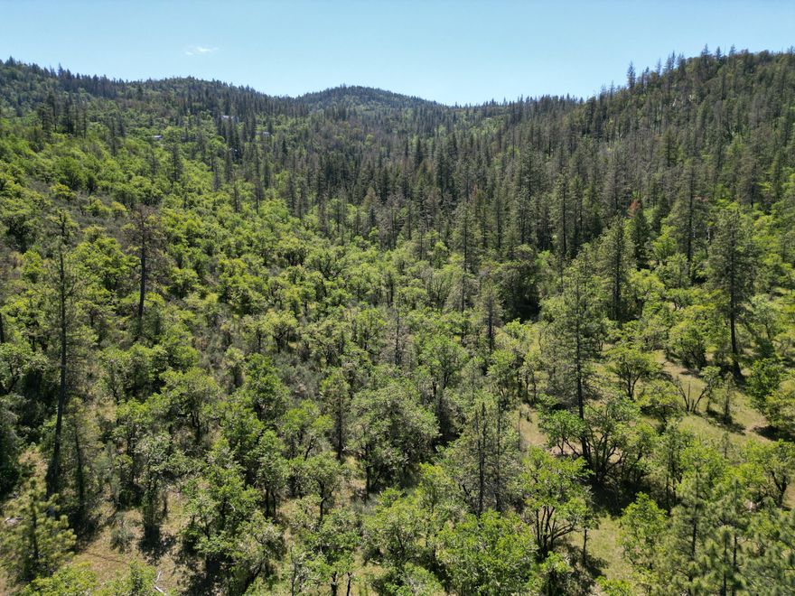 This Homesite Approved property is located about 10 miles to the nearest town of Eagle Point, OR and about 17 miles to the nearest Hospitals and city amenities of Medford.  This view property presents a great opportunity to own 43.98+/- acres of slopped to rolling, wooded hillside that borders an additional 200 acres of public land. Electricity is located at the property along E. Antelope Road.  Zoned EFU, initial conversation with a land use planner indicates there's a good possibility the property is buildable.  Buyers will need to do their own due diligence, however, the listing Broker will convey land use planner contact information.