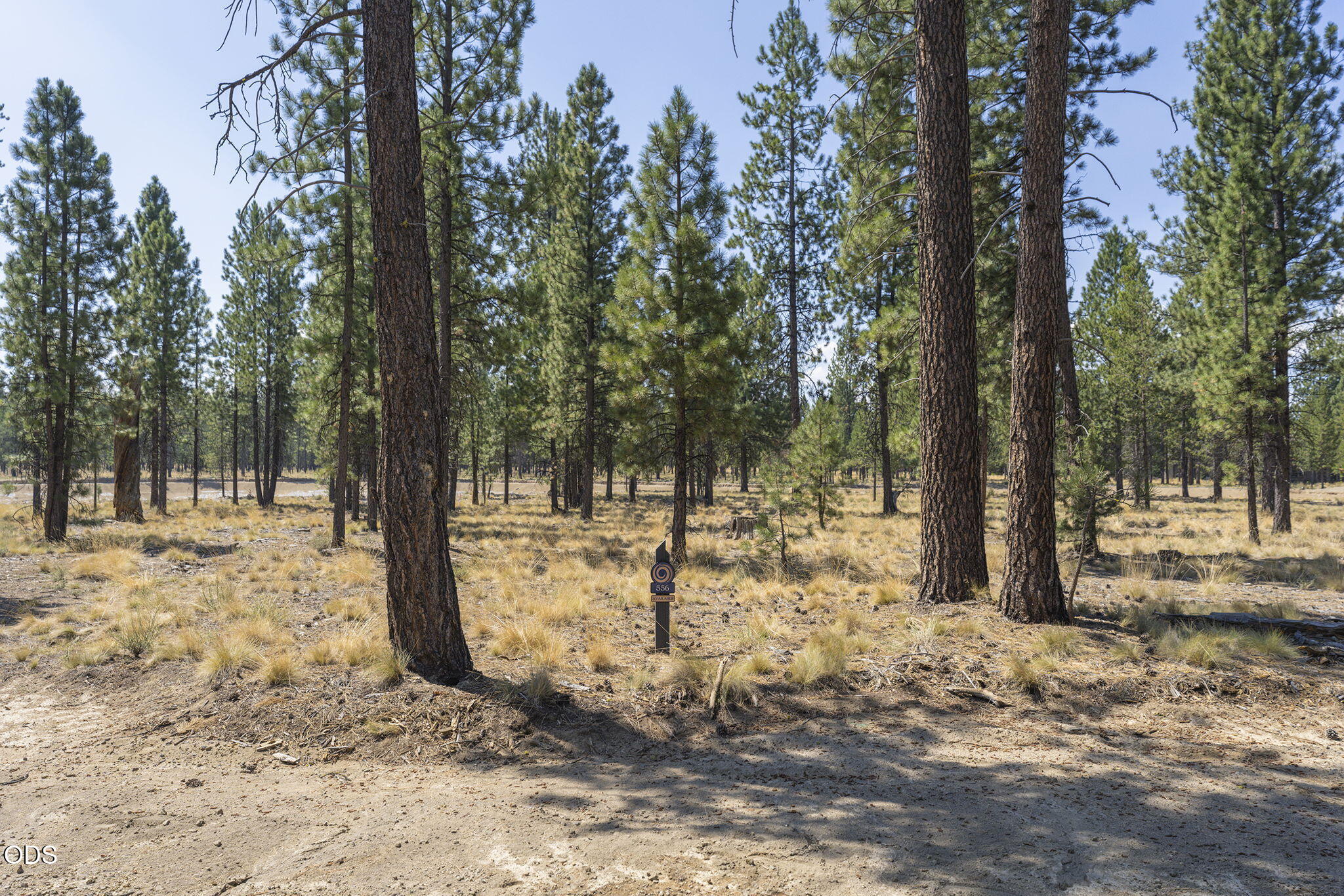 56680 Red Bark Lane 556