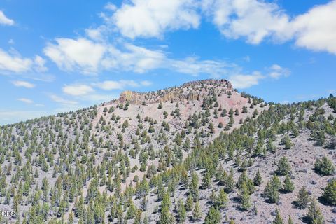 Tiny photo for 16305 N East Ochoco Highway, Prineville, OR 97754 (MLS # 220223790)
