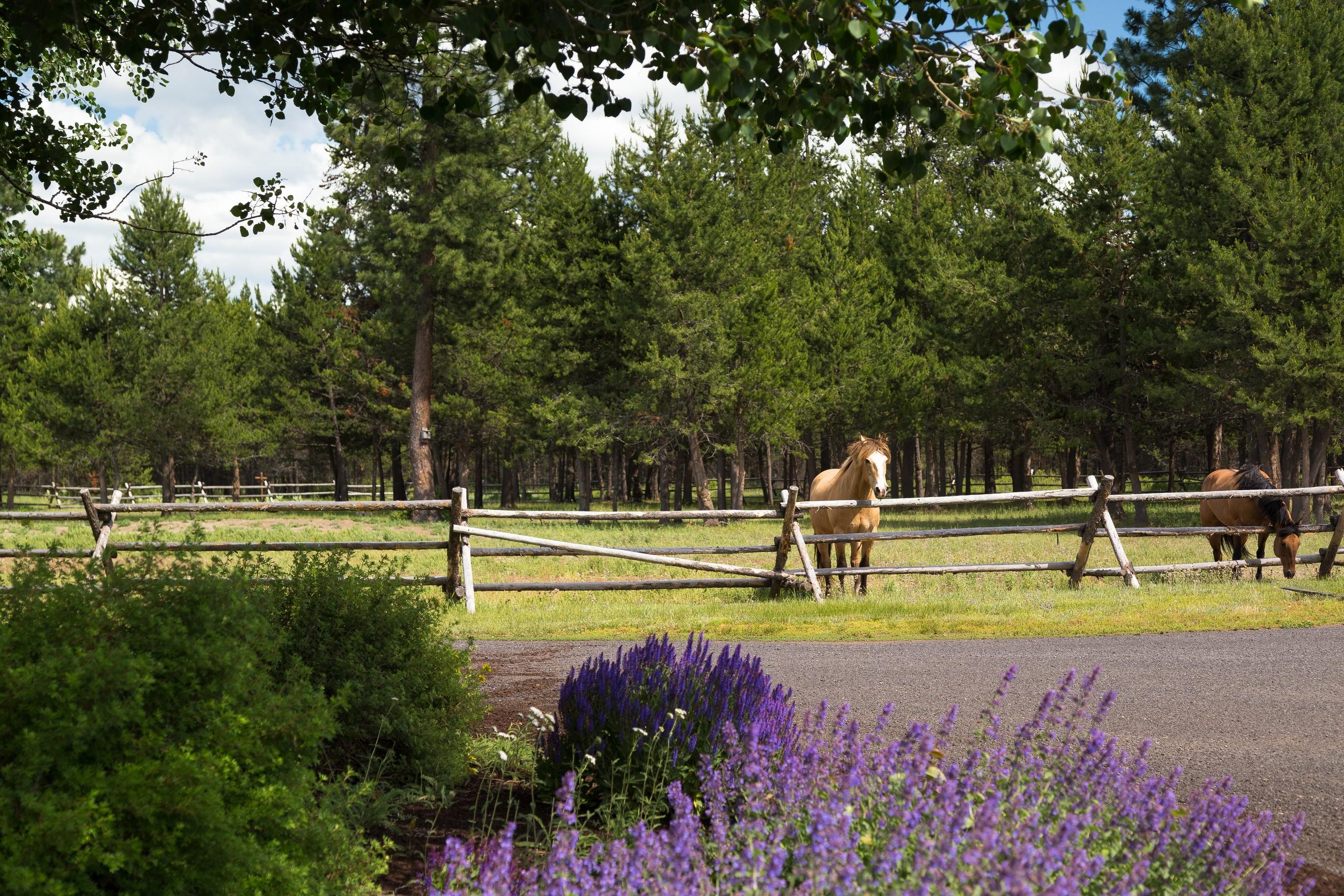 Vandevert Ranch - Residential
