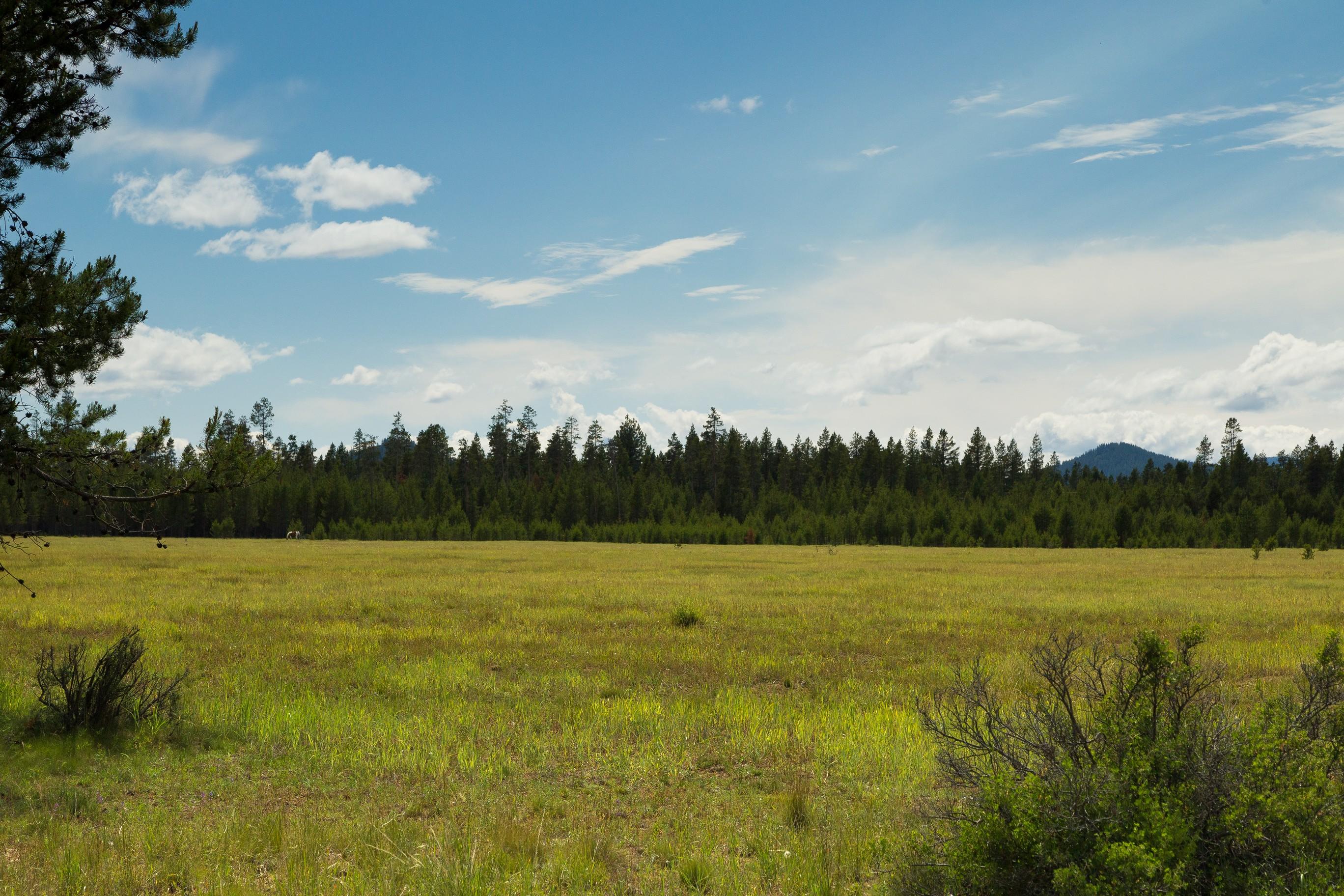 Vandevert Ranch - Residential