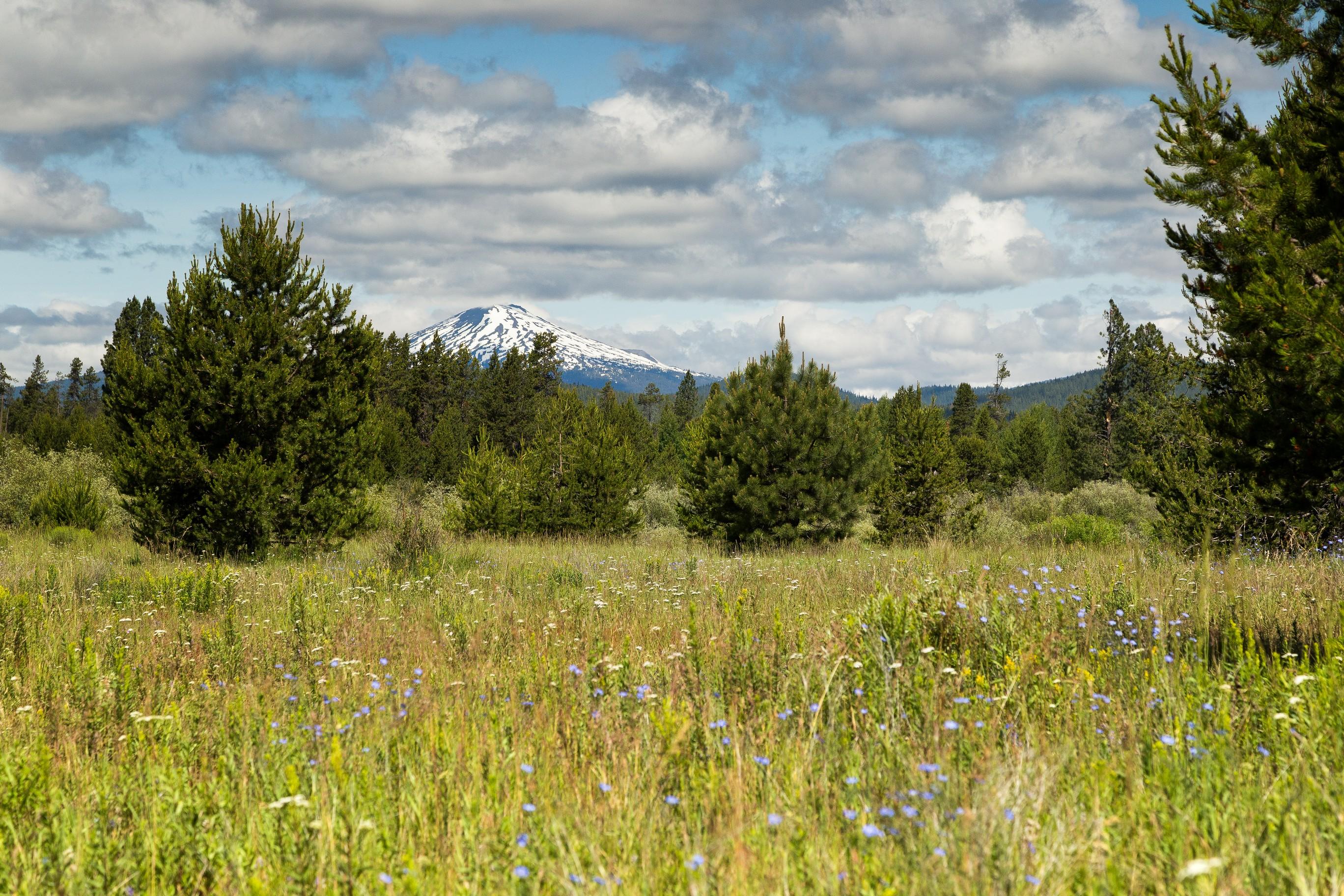 Vandevert Ranch - Residential