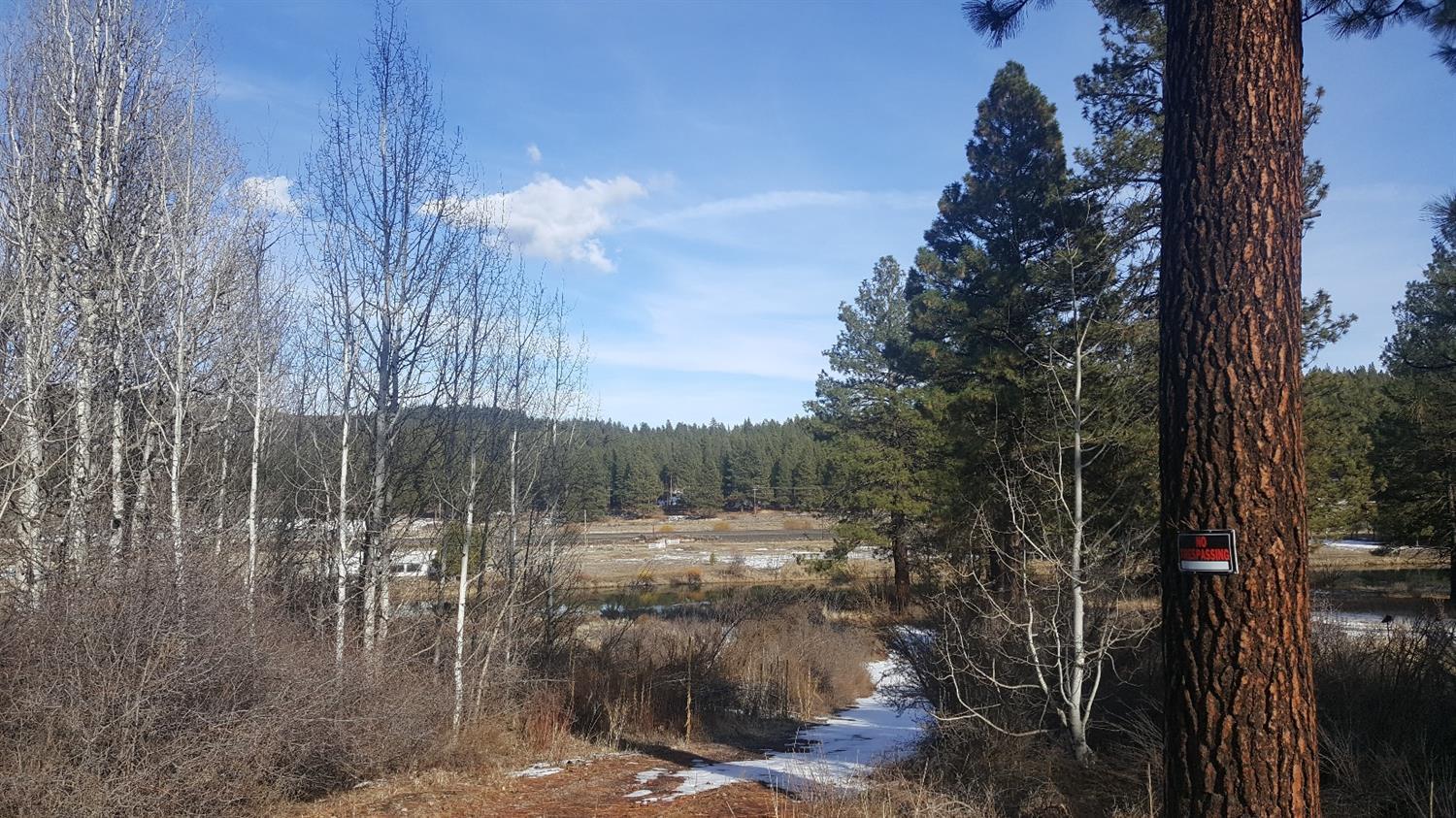 Williamson River Pines - Land