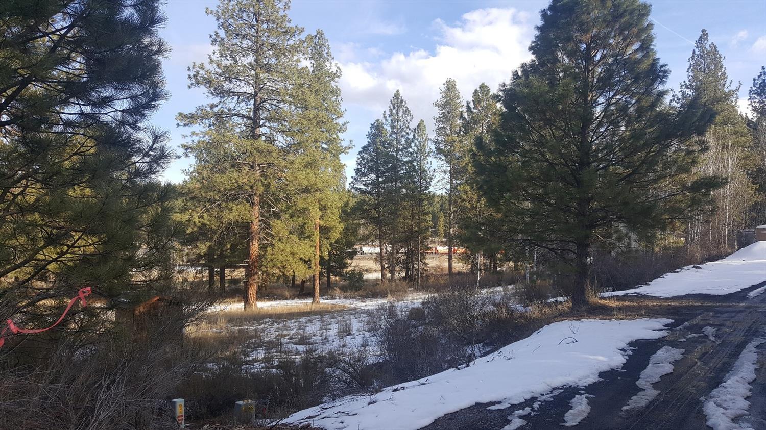 Williamson River Pines - Land