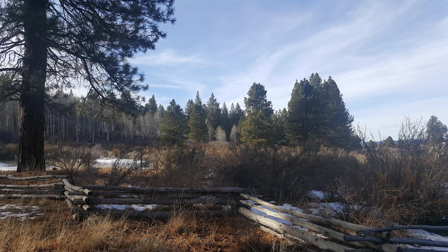 Williamson River Pines - Land