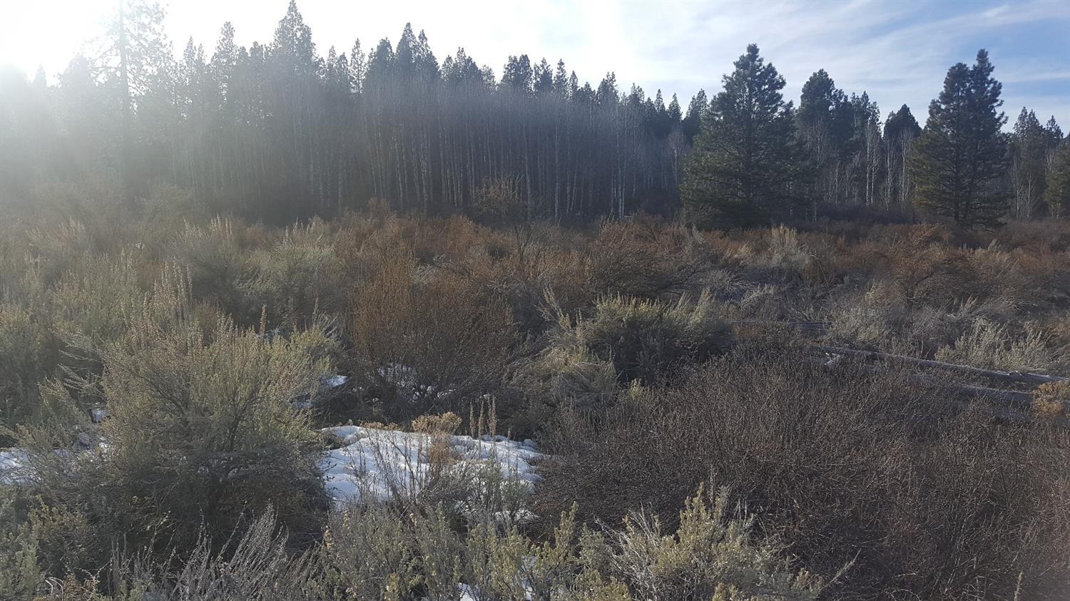 Williamson River Pines - Land