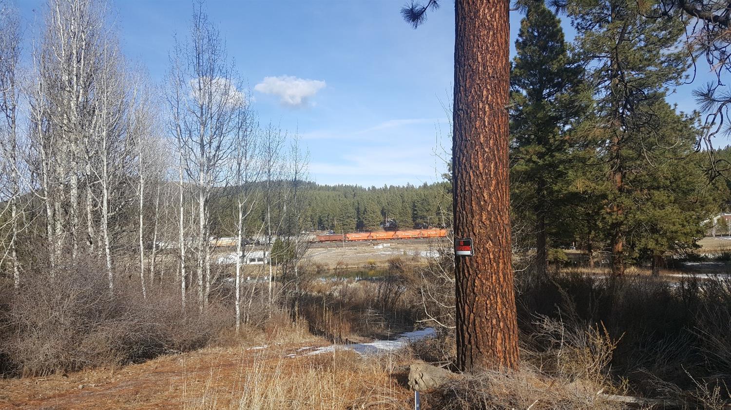 Williamson River Pines - Land