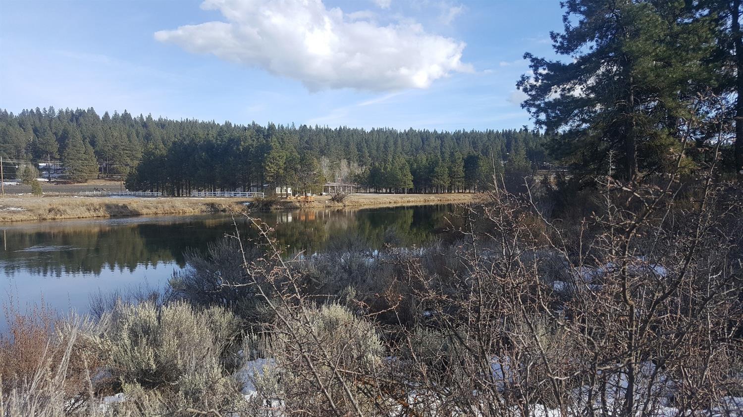 Williamson River Pines - Land