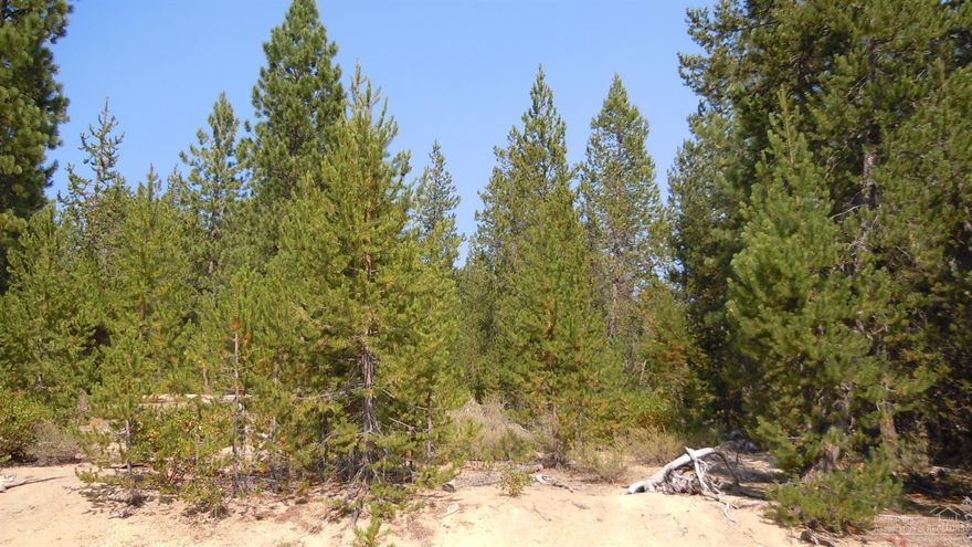 Great building site with views of the Cascade Mountains, located in Diamond Peaks. Paved Roads maintained all year. Easy access to forest land and numerous mountain lakes. Willamette Pass ski area just a few miles away. Seller will carry.