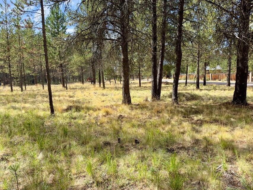 Deschutes River Recreation Homesites - Land