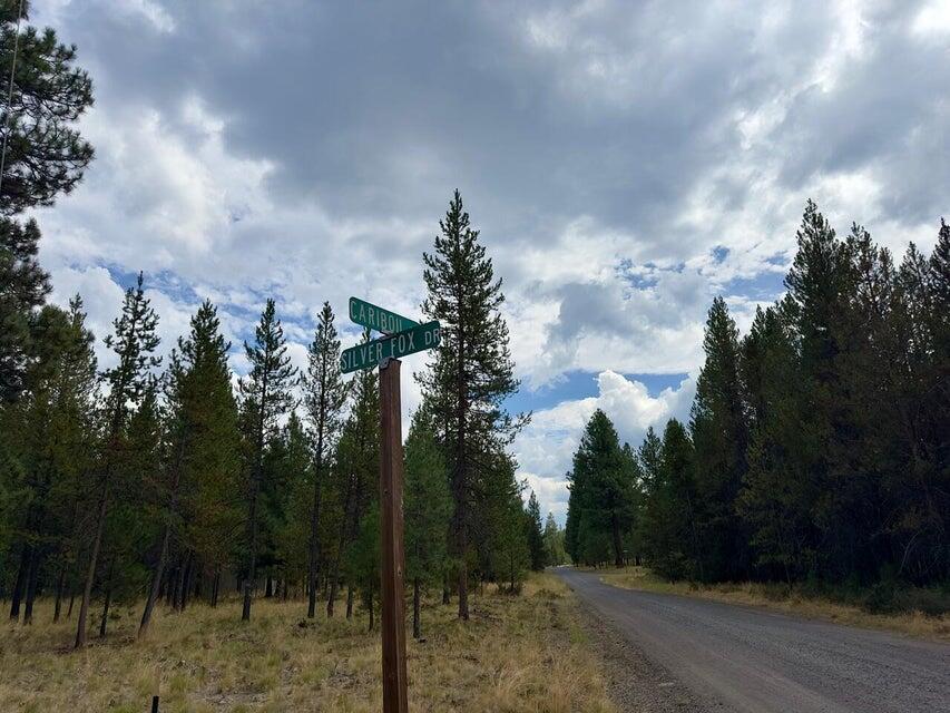 Caribou Drive