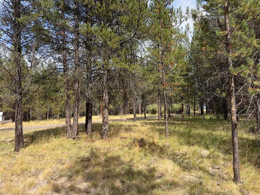 Deschutes River Recreation Homesites - Land