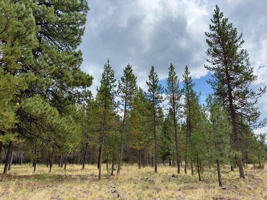 Deschutes River Recreation Homesites - Land