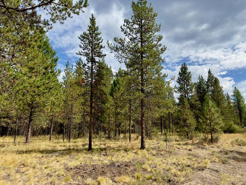 Deschutes River Recreation Homesites - Land