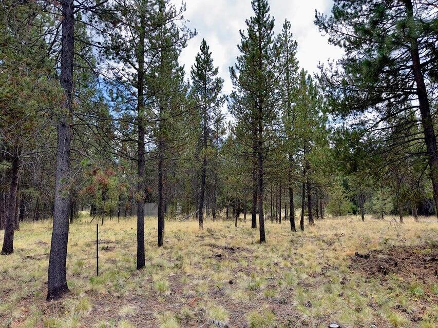 Deschutes River Recreation Homesites - Land