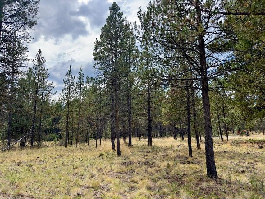Deschutes River Recreation Homesites - Land