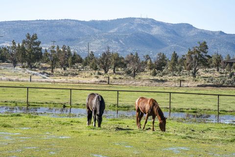 Tiny photo for 2441 SW Minson Road, Powell Butte, OR 97753 (MLS # 220215383)
