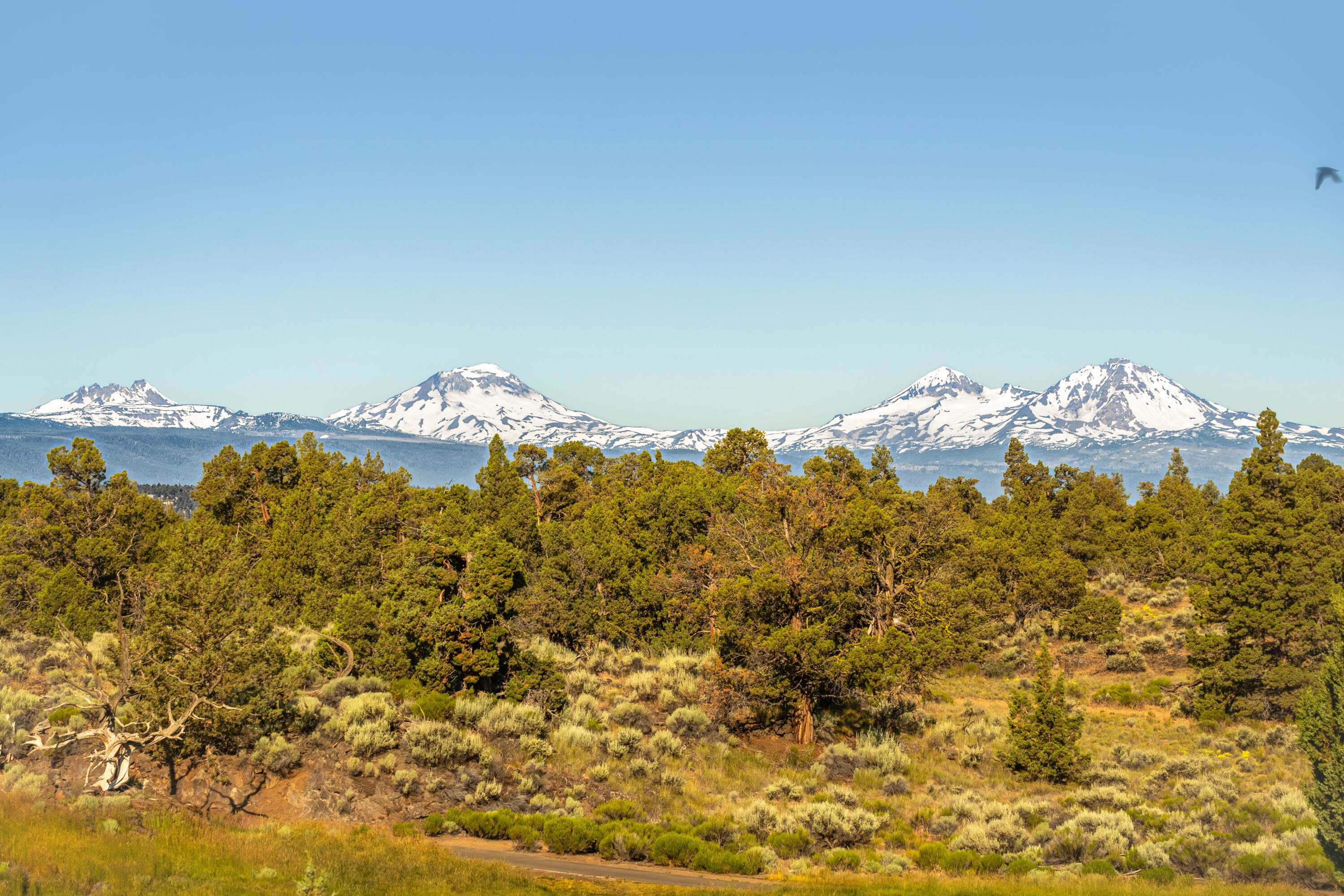 Pronghorn - Residential