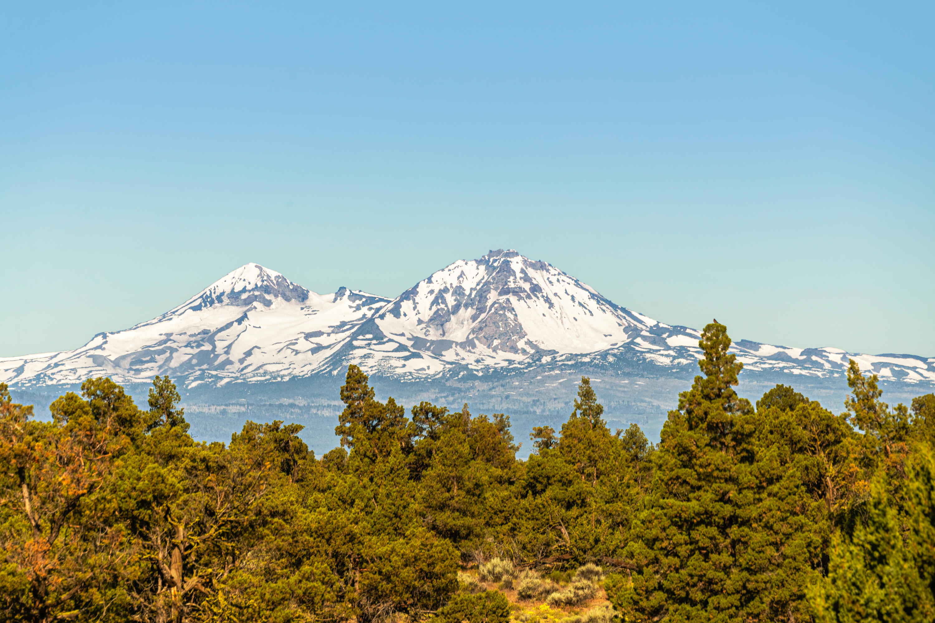 Pronghorn - Residential